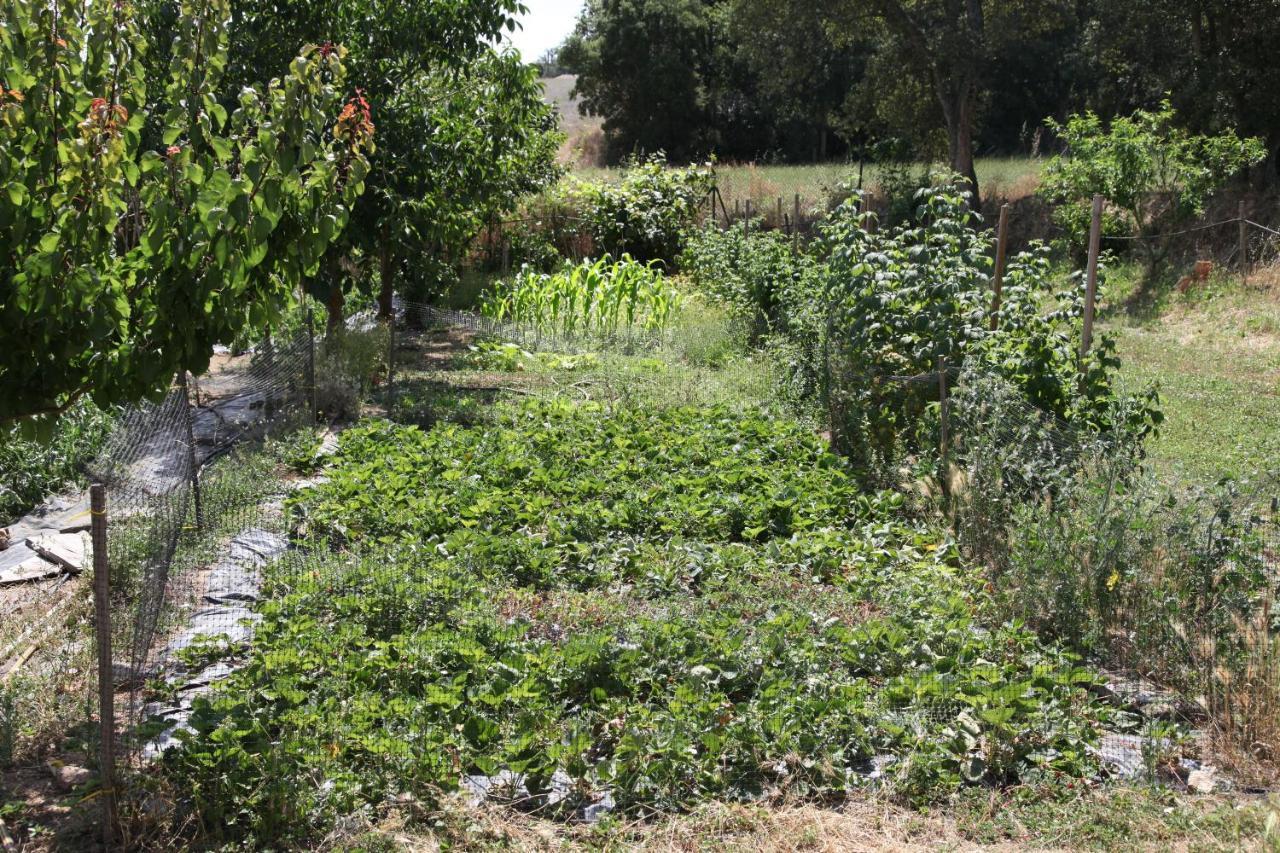 Can Cabanyes Γιαγκοστέρα Εξωτερικό φωτογραφία
